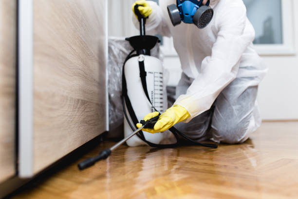 Best Pest Removal Services  in Essex, IL