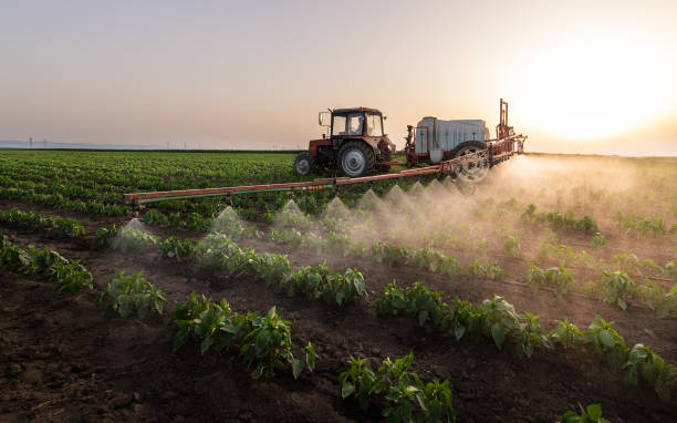 Best Pest Control for Homes  in Essex, IL