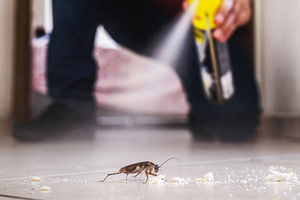 Best Commercial Pest Control Services  in Essex, IL