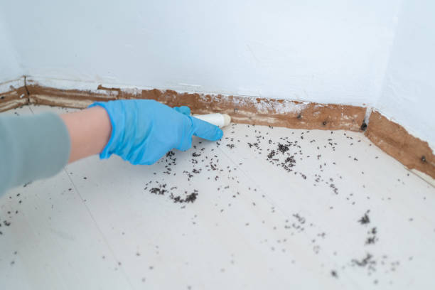 Wildlife Control Services in Essex, IL